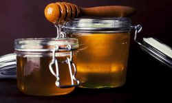 Honey health benefits and medicinal use