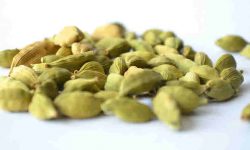 cardamom health benefits