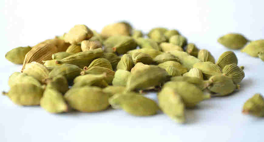 cardamom health benefits