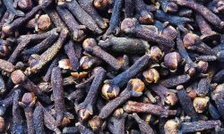 clove medicinal uses