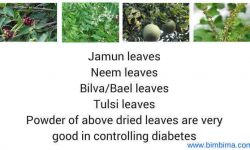 diabetes herbal powder