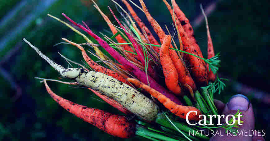 Carrot health benefits and uses