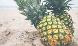 pineapples fruit