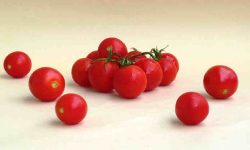 tomato health benefits