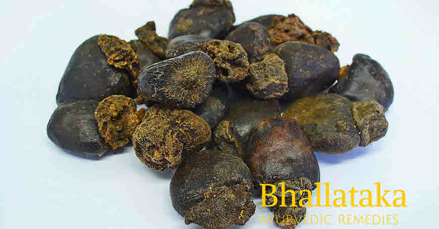 bhallataka medicinal uses