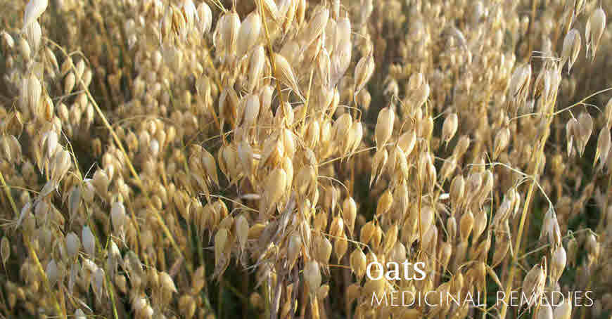 oats health benefits