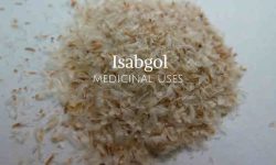 isabgol medicinal use