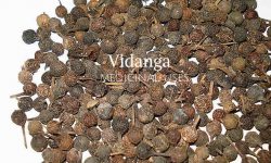 vidanga medicine