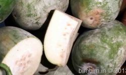 white gourd medicinal uses