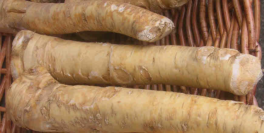 horseradish health benefits